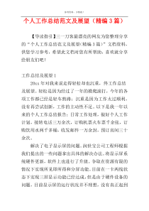 个人工作总结范文及展望（精编3篇）