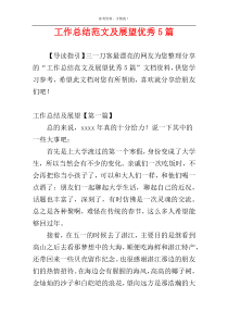 工作总结范文及展望优秀5篇