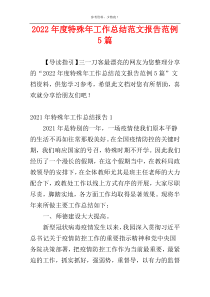 2022年度特殊年工作总结范文报告范例5篇