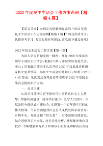 2022年度民主生活会工作方案范例【精编4篇】