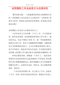 试用期的工作总结范文与自我评价
