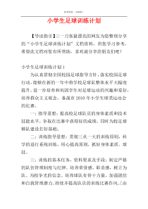 小学生足球训练计划