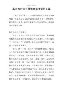 真正执行力心得体会范文实用5篇