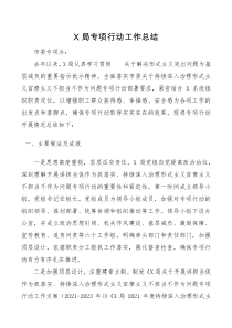 专项行动工作总结