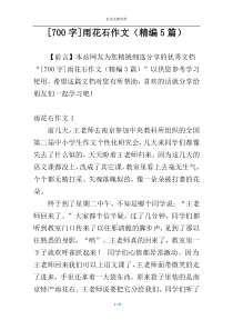 [700字]雨花石作文（精编5篇）