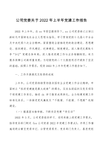 2022年上半年党建工作报告范文集团企业工作汇报总结