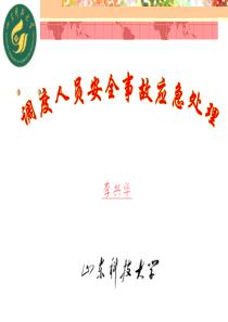安全预案培训讲义(调度人员)