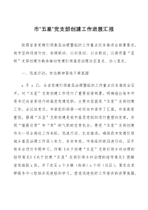 市五星党支部创建工作进展汇报范文工作汇报总结