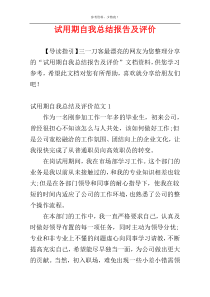 试用期自我总结报告及评价