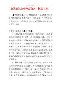 防洪防汛心得体会范文（精选4篇）