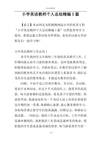 小学英语教师个人总结精编3篇