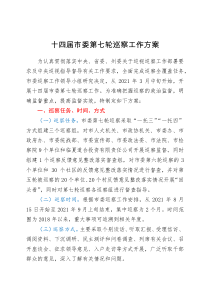 方案意见十四届市委第七轮巡察工作方案