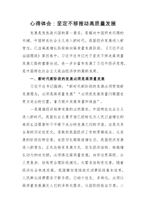 心得体会心得体会坚定不移推动高质量发展