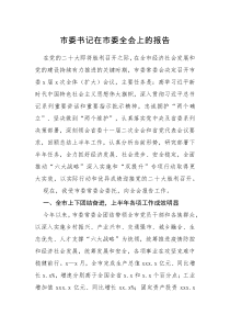 工作报告市委书记在市委全会上的报告