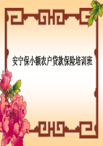 小额借款人意外险培训