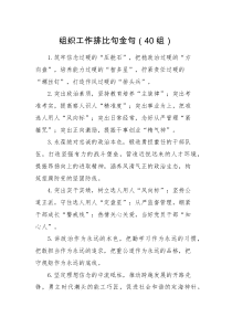 40组组织工作排比句金句40组