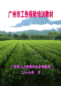 工伤培训资料(公开)