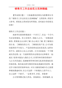 销售月工作总结范文范例精编