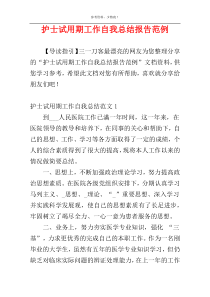 护士试用期工作自我总结报告范例