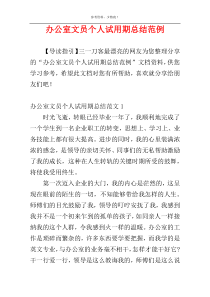 办公室文员个人试用期总结范例