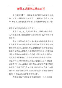 新员工试用期总结怎么写