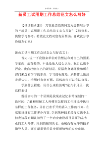 新员工试用期工作总结范文怎么写好