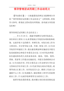 领导管理层试用期工作总结范文