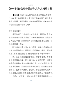 [800字]留住那份美好作文作文精编3篇