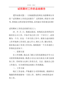 试用期对工作的总结报告