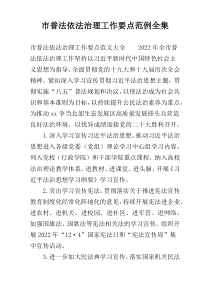 市普法依法治理工作要点范例全集