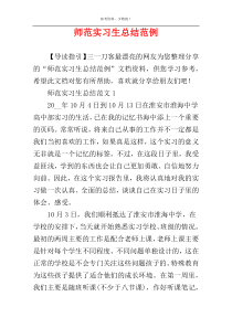 师范实习生总结范例