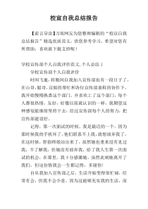 校宣自我总结报告