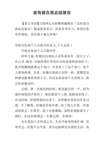 宣传部自我总结报告