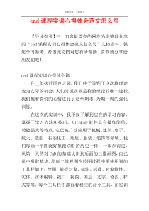 cad课程实训心得体会范文怎么写