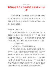 警员职务晋升工作总结范文范例2022年度