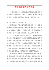 护士试用期的个人总结