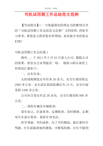 司机试用期工作总结范文范例