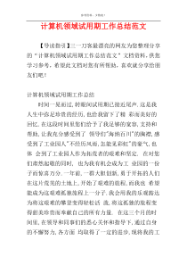 计算机领域试用期工作总结范文