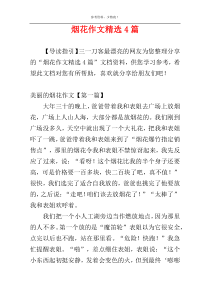 烟花作文精选4篇