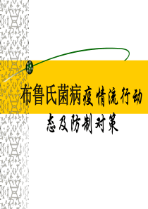 布鲁氏菌病预防诊治培训