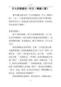 什么的眼睛初一作文（精编3篇）
