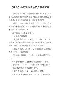 【热选】公司工作总结范文范例汇集