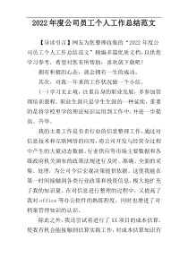 2022年度公司员工个人工作总结范文