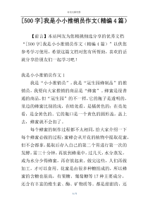 [500字]我是小小推销员作文（精编4篇）