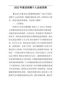 2022年度试用期个人总结范例
