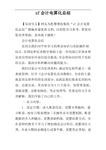 zf会计电算化总结
