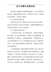 会计电算化实践总结