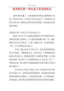 党员转正的一年社会工作总结范文