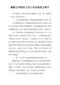 最新公司财务人员工作总结范文例子