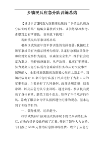 乡镇民兵应急分队训练总结